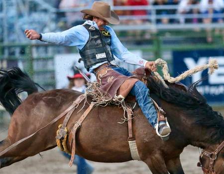 Jackson Hole Rodeo