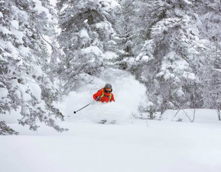 4 Tips To Make The Most Of The 2025-2026 Jackson Hole Ski Season