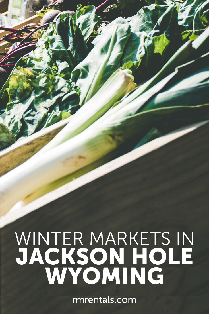 Winter Activities Jackson Hole Wyoming